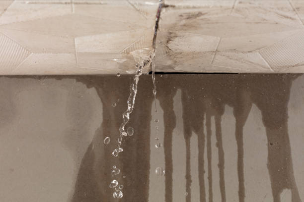 Professional Structural Drying technician working in Oliver Springs, TN